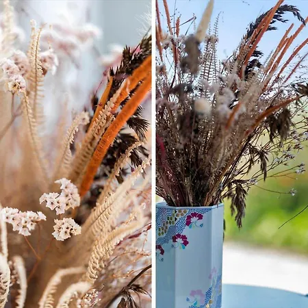 Dom wakacyjny G249-lemvig-bellisvej-49 *